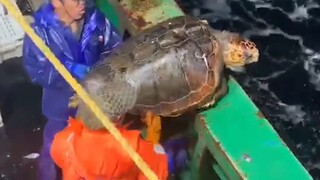 看来只能搬到没有海的城市了