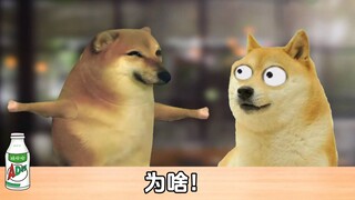这个问题，好像没有正确答案！