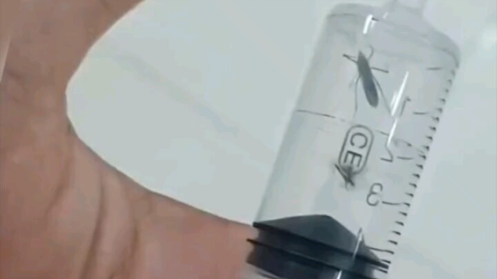 Nyamuk: Lebih baik kamu tepok aku sampai mati aja deh!