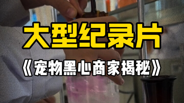 Các cửa hàng thú cưng vô lương tâm: Không phải vì làm ăn đàng hoàng thì không có lời, mà vì lừa dối 