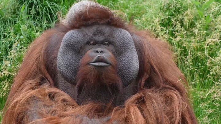 Come here, let me give you a kiss.