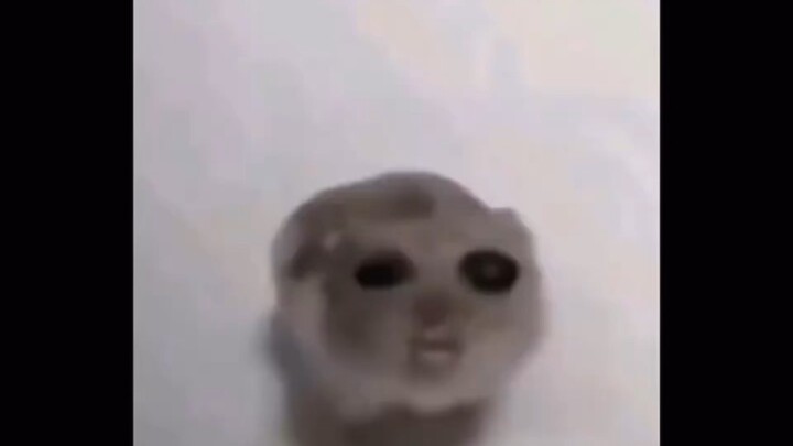 Ok