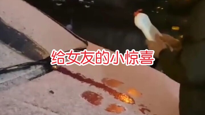 【直击人类沙雕现场173】给女友的"小惊喜"