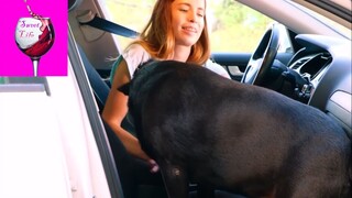 Xung quanh ta toàn những mẹo hay phần 2 #Mẹo_vặt_cuộc_sống