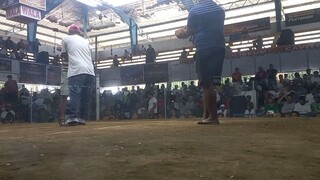 NAKA GANTI DIN SA MANAGEMENT (CAVITE COLISEUM) MAYAHING SUNOG