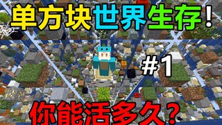 One Block World! คุณจะอยู่รอดได้นานแค่ไหน? One Block World Survival #1