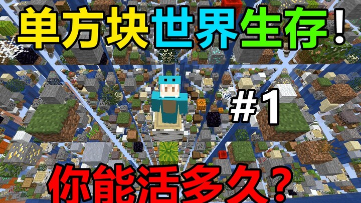 One Block World! คุณจะอยู่รอดได้นานแค่ไหน? One Block World Survival #1