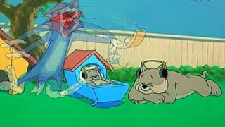 【Cat and Jerry】ฉันคือราชาแห่งเสียงคำราม! (สายลมฤดูใบไม้ผลิแห่งการปฏิรูปพัดเข้ามา ah ah ah ah ah ah a