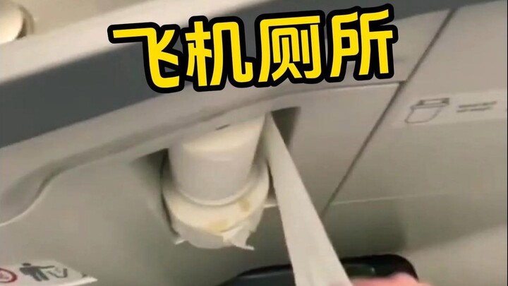 Where Did the Toilet Paper on the Plane Go?