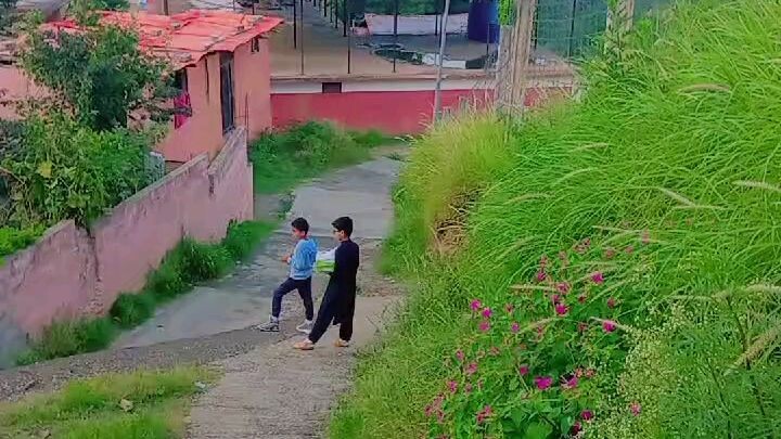 enjoy