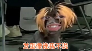 انتظر حتى يأتي محاميك إليك...