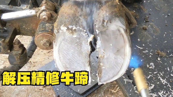 这只牛蹄表面没有问题，但是修蹄小哥轻轻一挖，居然另有乾坤？