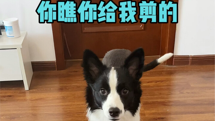 Mê làm đẹp, bác cũng có…