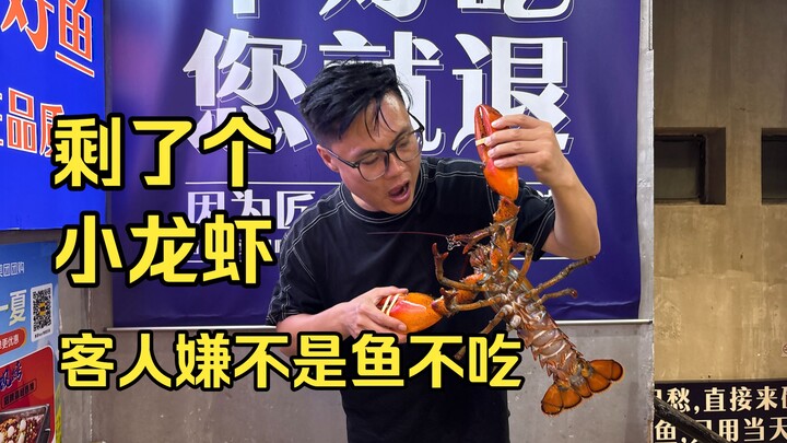 Tinggal seekor udang karang, tamu mengeluh karena bukan ikan jadi tidak mau memakannya