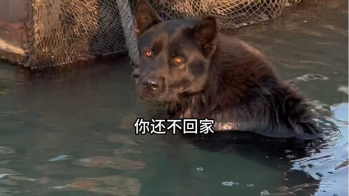 Mr. Huang's fingernails are used to save his life at sea.