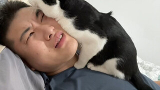 Không nên nuôi mèo, không thể ngủ được