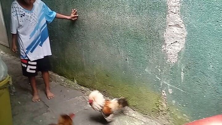 3xwinner balda ibabaw tahid 9months