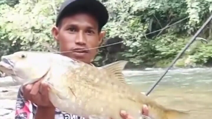 Ngeri umpan ku di telan ikan Segede bayi