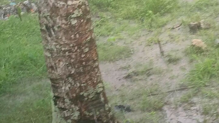 raining