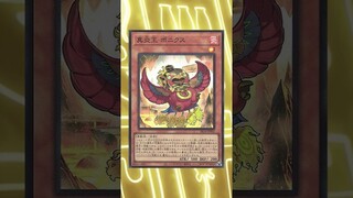 Cards That Took Over 10 Years To Get Released! Yu-Gi-Oh! #shorts