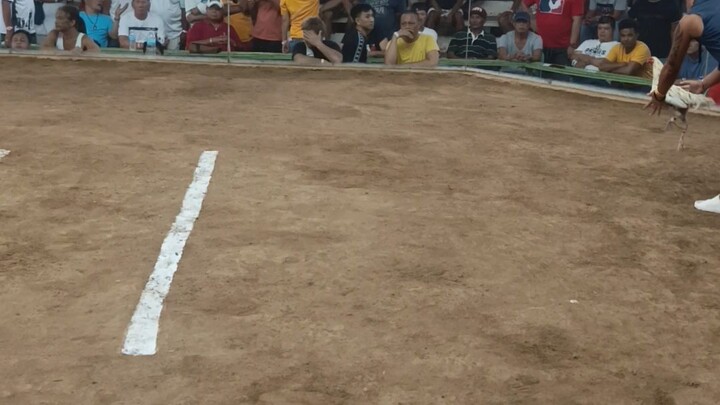 WPC Elims.  1st fight win