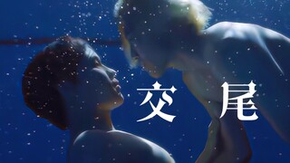 【bounprem】人鱼交尾现场直播间—我可以躲进你的身体吗？【文总包包】人鱼向mv混剪/高甜/意识流/海豚