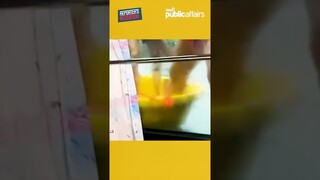 Isang bus sa Quezon City, nalubog sa baha #shorts | Reporter’s Notebook