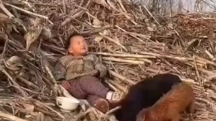 Bro, I can't stand seeing you so relaxed.