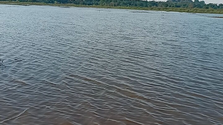 apa yg anda fikirkan