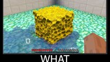 Minecraft รออะไร meme part 44 ฟองน้ำและน้ำที่สมจริง