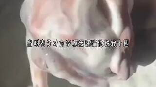 血仆