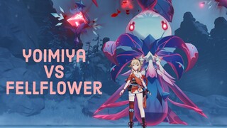 Yoimiya Solo Fellflower - [Genshin Impact]