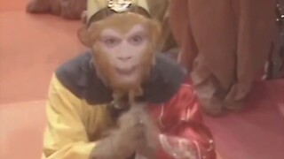 khi tôi còn là một con khỉ