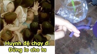 Ảnh chế p224 || làm sao mà bỏ rơi được || ĐLT ảnh chế