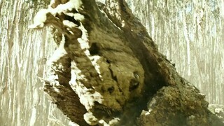 小岛上到处都是庞然大物，谁才是岛上真正的王者