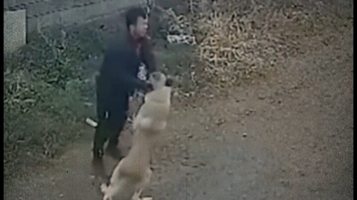 Remember this: humans are only afraid of getting hurt. If they really go all out, an adult man can e