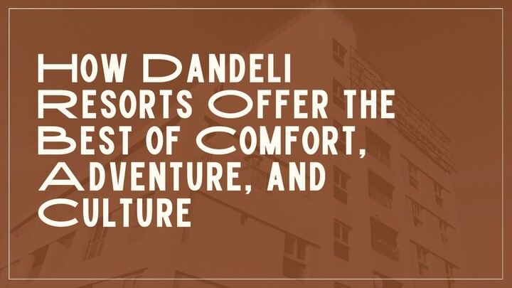 How Dandeli Resorts Offer the Best of Comfort, Adventure, and Culture