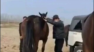 Maa: Nak, kamu memang tidak berguna