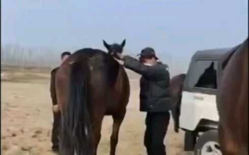 ما: يا فتى، أنت غير جيد.