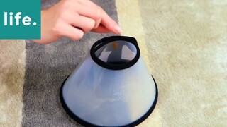 Mẹo hay cho bạn #45 #Mẹo_vặt_cuộc_sống