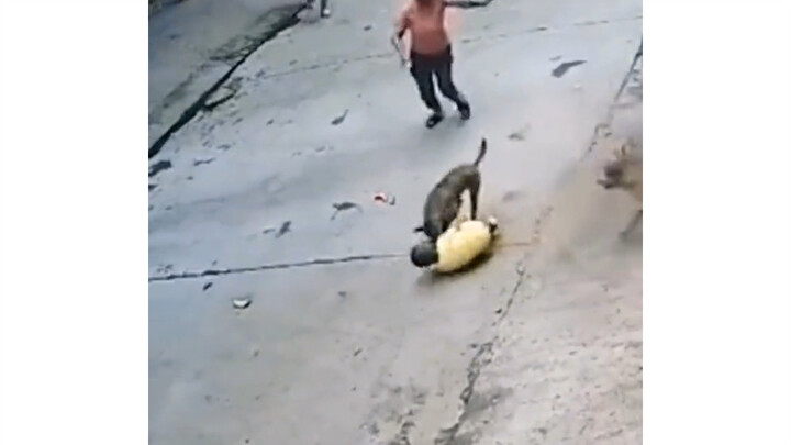 ขบถชั่ว อย่าทำร้ายเจ้านายของข้า!