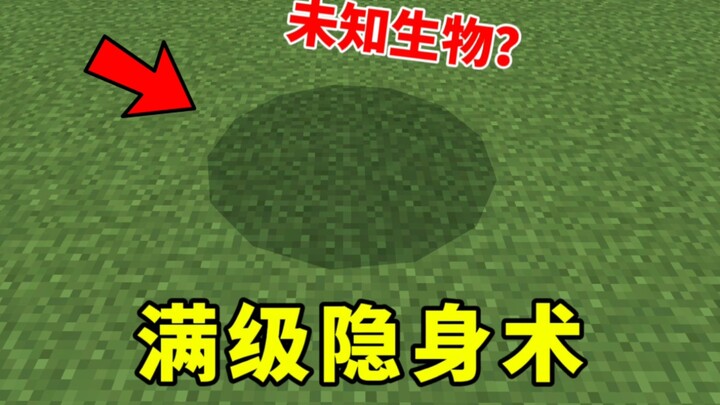 Max-Level Invisibility, an Unknown Creature?