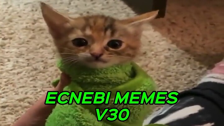 ECNEBI MEMES V30