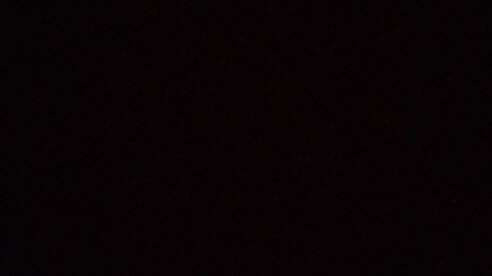 mini fudgee cakes (with milk topping)