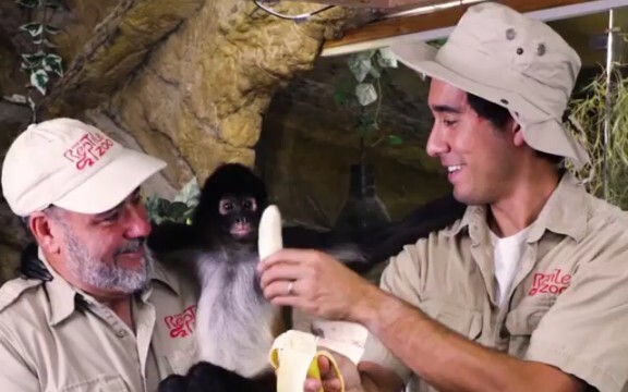 الموز اللامحدود