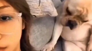 Penuh dengan momen-momen lucu yang seru dari awal hingga akhir, disarankan untuk menonton berulang-u