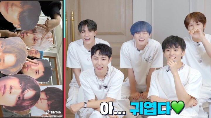 【NCT DREAM】🥁Ayo Bawa Beatboxmu🤝 Panggilan untuk DREAM SQUAD | Reaksi TikTok terhadap “Beatbox”