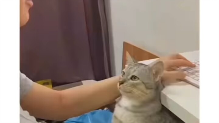 ไปให้พ้น ไอ้บิช!