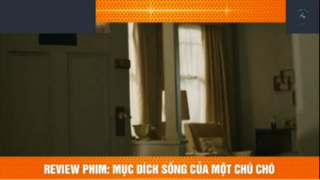 REVIEW PHIM : Mục đích sống của 1 chú chó (p2) #rvphimcuocsong