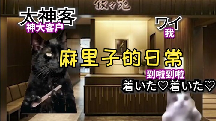 [Subtitled] A sweet Apex duo story with Mariko—going to the bathroom to climb the ranks | Cat meme